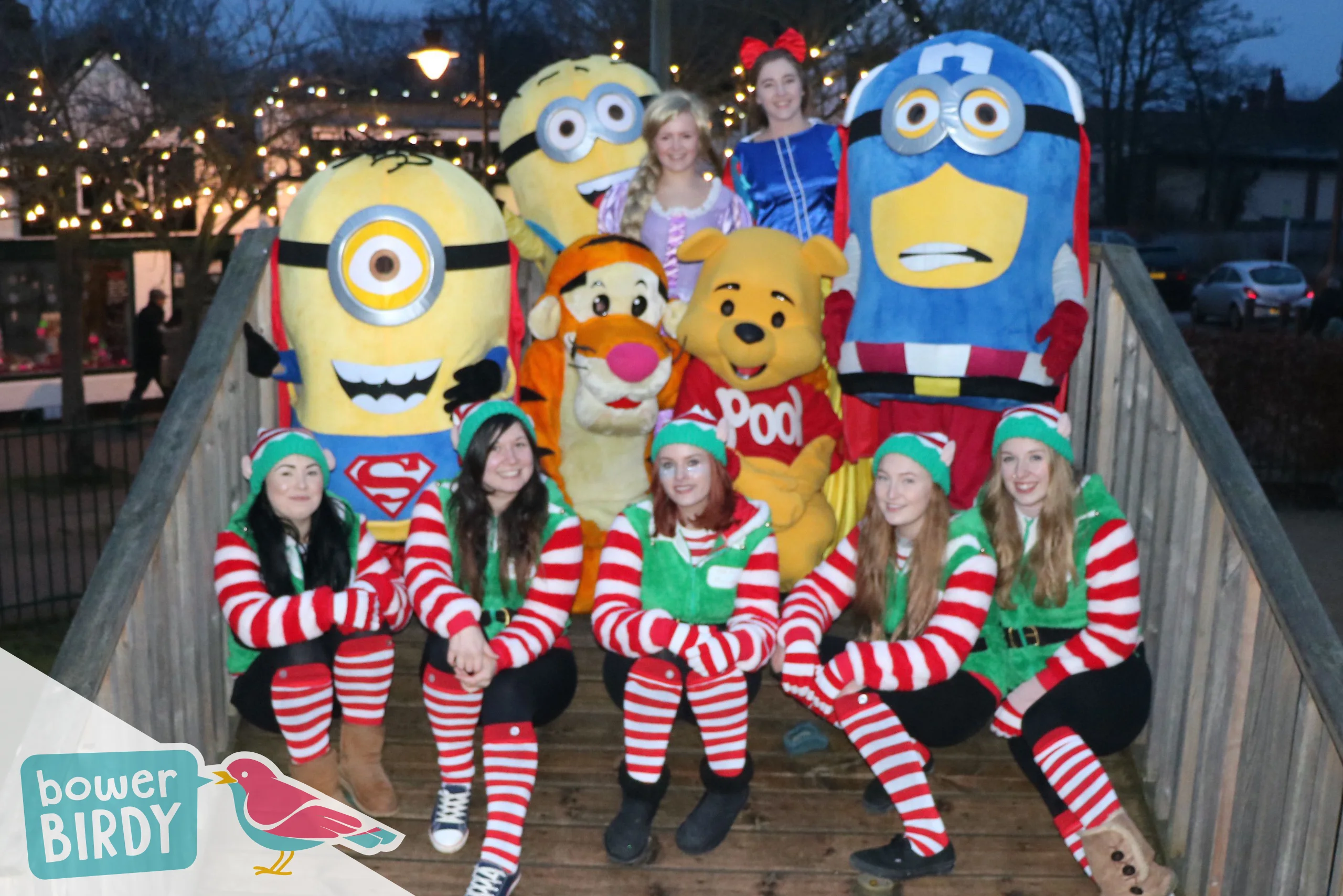 Bowerbirdy: Christmas Lights Switch-On in Letchworth