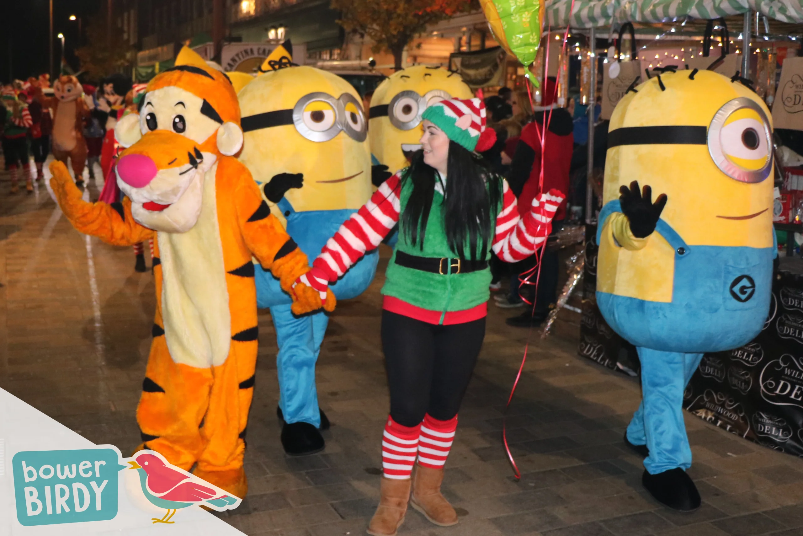 Bowerbirdy: Christmas Lights Switch-On in Letchworth