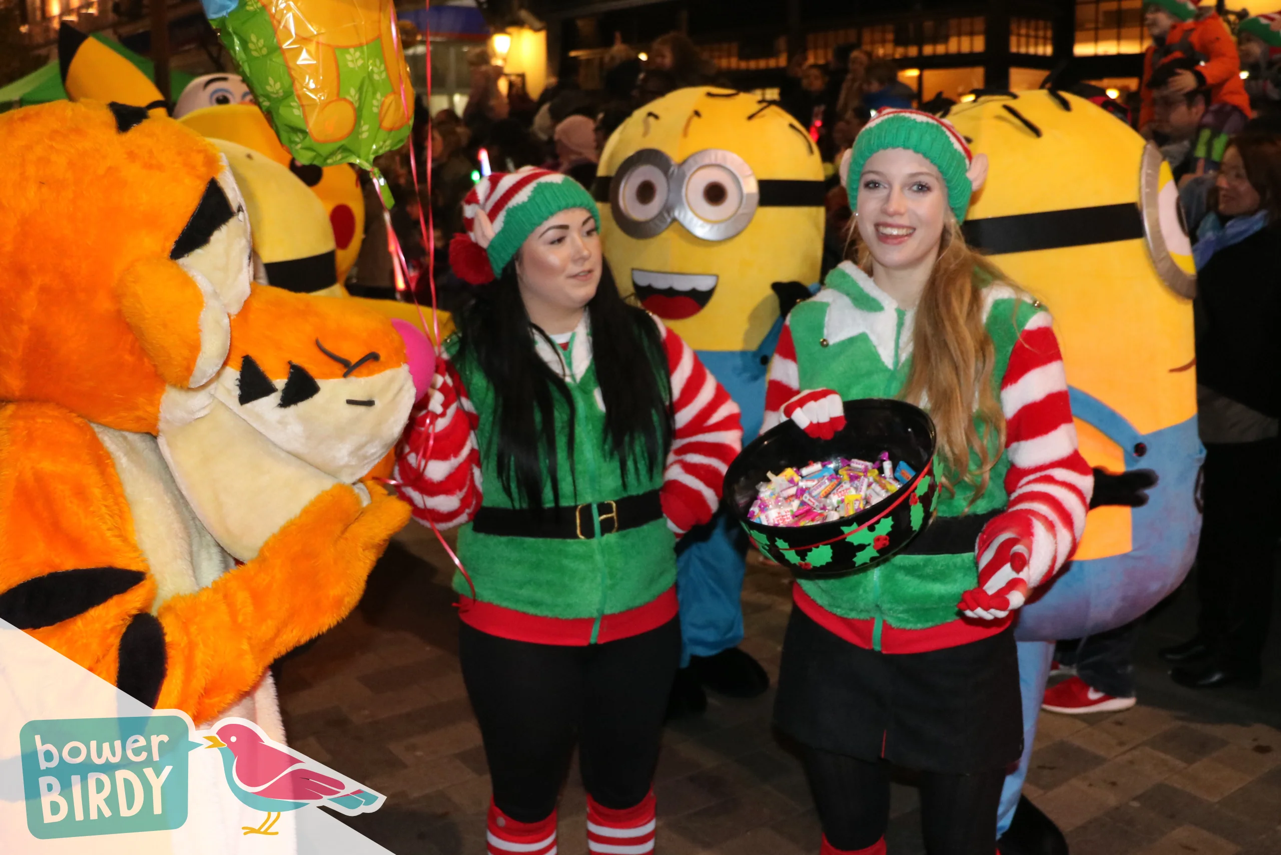 Bowerbirdy: Christmas Lights Switch-On in Letchworth