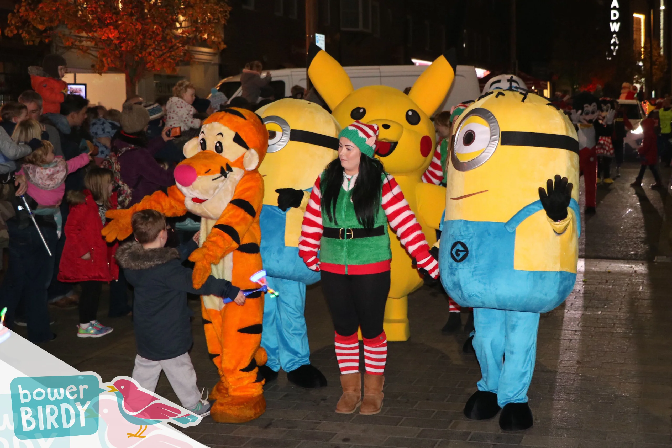 Bowerbirdy: Christmas Lights Switch-On in Letchworth