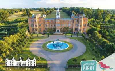 How Bowerbirdy Transformed Hatfield Park: 11 Months of Outstanding Events Growth